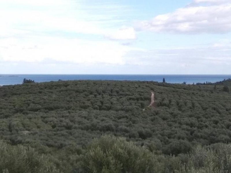 Kalyves Land mit großartigem Meerblick in Apokoronas zum Verkauf Grundstück kaufen